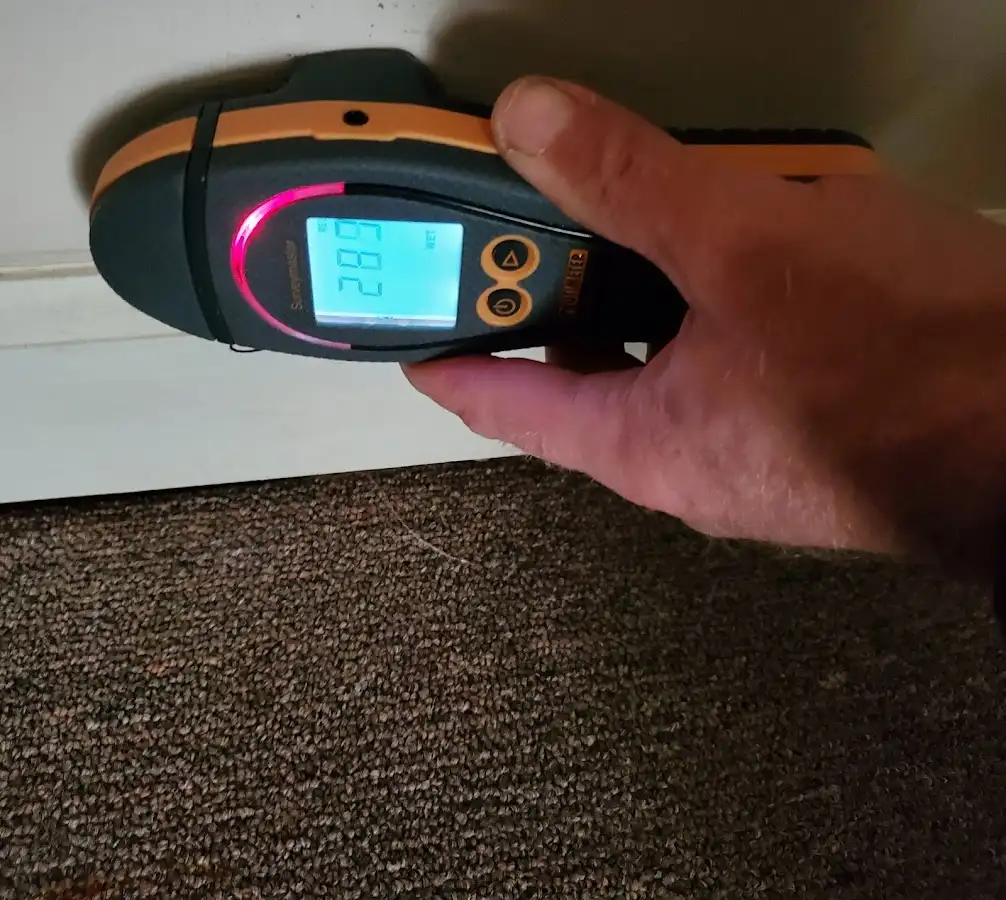 Moisture detection at baseboard during Mold Inspection & Testing in Brattleboro